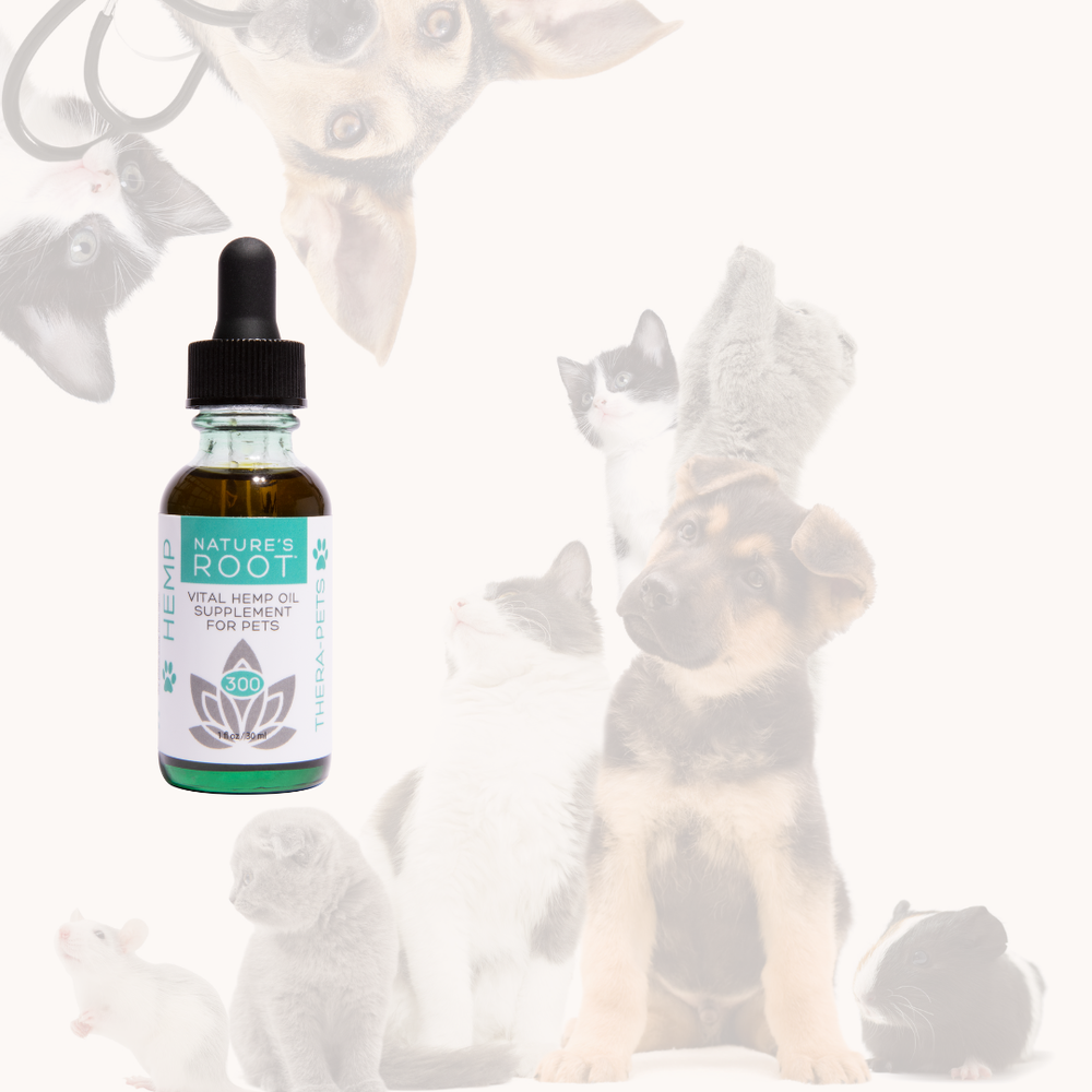 Pet CBD Hemp Oil Tincture